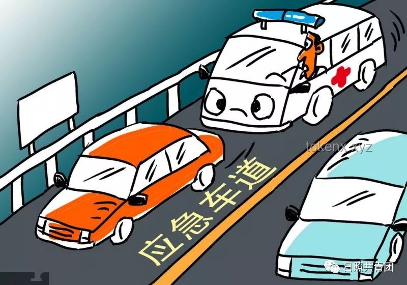 公交温情瞬间背后的社会趋势：公益行为激励与公共意识觉醒
